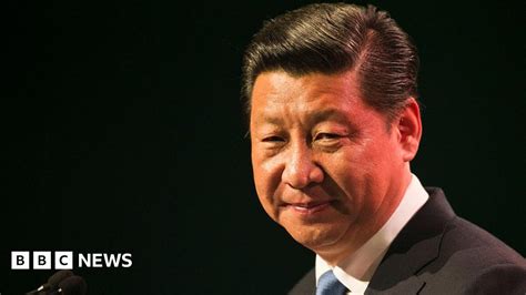 China's Xi Jinping cements his status with historic resolution .